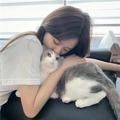 洪福齐天