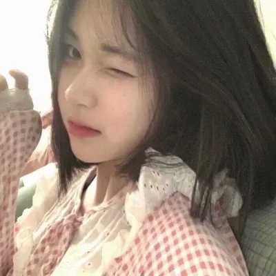 最后的维米尔